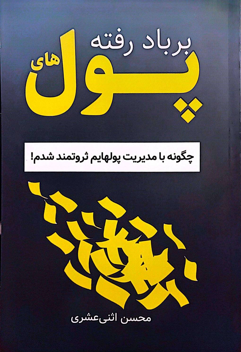 کتاب پول‌های برباد رفته